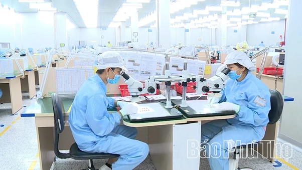 Công Ty Young Poong Electronics Vina (YPE Vina) tại Khu công nghiệp Bình Xuyên II (do CIS là chủ tư) chuyên sản xuất và gia công bảng mạch điện tử FPCBs